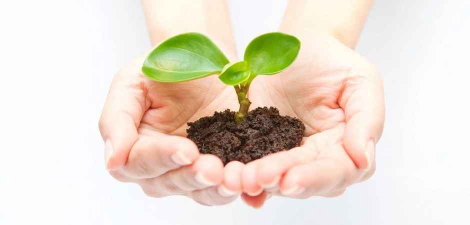 環境への取り組み